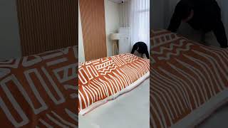 Best sofa cover for home，Best washable couch cover Best couch cover for dogs sofacushions [upl. by Eloccin90]