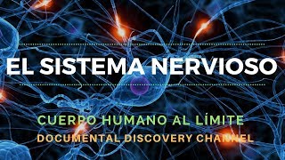 El Sistema Nervioso  Discovery Channel  Cuerpo Humano al Límite Completo [upl. by Corron]