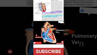 Double circulation human heart life processes humanheart Viral ViralShorts ncert cbse [upl. by Audsley]