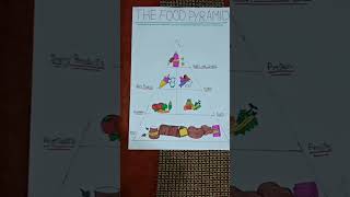 DRAWING OF FOOD PYRAMID like share subscribe [upl. by Viviane]