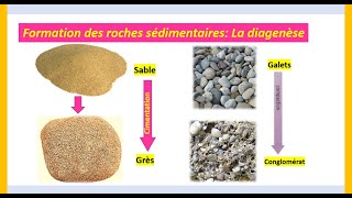 Formation des roches sédimentaires Diagenèse SVT 1APIC [upl. by Tj]