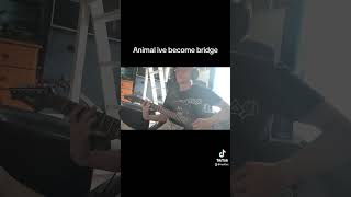 Animal ive become bridge is awesome [upl. by Ikim673]