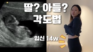 임산부vlog  각도법의 모든것 딸아들 궁금하면 드루와  amh0점대 조기폐경 시험관 임신 [upl. by Torr904]