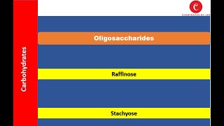 Lecture 10  Oligosaccharides  Stacyose  Raffinose  Iram Gul [upl. by Candi]