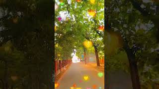 😔👰🥀CG status CG short video CG viral CG status CG WhatsApp status CG 2024 [upl. by Normi]