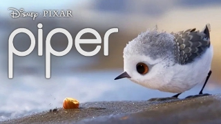 Piper Trailer – First Look – Official Disney New Pixar Film  HD [upl. by Assenar]