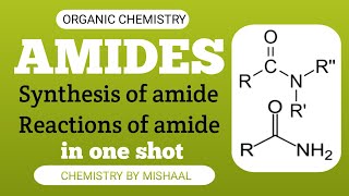 Amides Synthesis and Reactions Complete amides in one shot  Bs Chemistry [upl. by Twelve446]