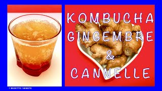 Kombucha au Gingembre et à la Cannelle  Boisson Pétillante Rafraîchissante amp Santé [upl. by Anawek347]