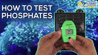 How To Test Phosphates In Your Reef Tank with the Hanna Checker  A simple stepbystep tutorial [upl. by Stoll]