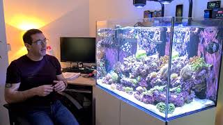 How to get the flow right in your Reef Tank [upl. by Luehrmann348]