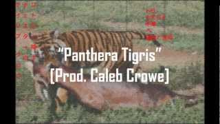 Chester Watson  quotPanthera Tigrisquot Prod Caleb Crowe [upl. by Airetnahs661]