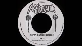 RICO  Repatriation Remedy [upl. by Llerrah]