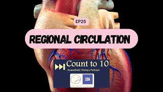 EP25 – Regional Circulation  Anaesthetic Primary Topic  Cardiac Physiology  CT10 [upl. by Rafferty]