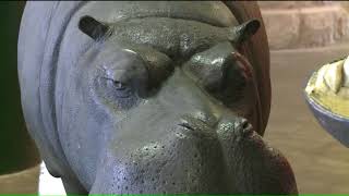 Original hippo sculptures by Bob Cassilly arrive at City Museum [upl. by Farmer]