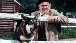 Original The Littlest Hobo 1963 in Color Rare quotTrouble In Pairsquot Episode [upl. by Kariv269]