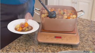 Copper Chef Portable Induction Cooktop [upl. by Andrey462]