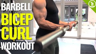 Barbell Bicep Curl Workout GET BIGGER ARMS [upl. by Witcher]