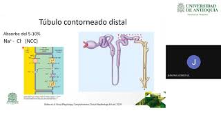 Hiponatremia  Dr Jean Paul Gomez [upl. by Ahseiyk]