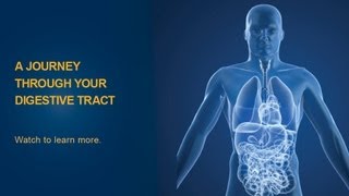 The Digestive Process  University of Michigan Health System [upl. by Beichner]