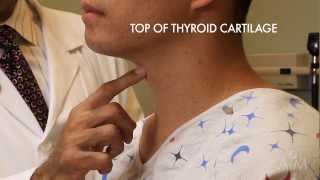 The Thyroid Exam Stanford Medicine 25 [upl. by Bubalo]