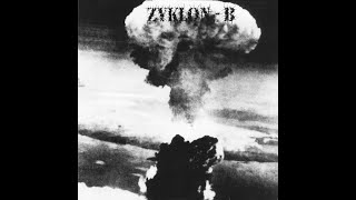 Zyklon B Warfare Vocal Cover [upl. by Nidorf]