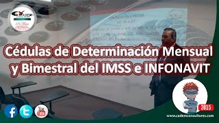 Cédulas de Determinación Mensual y Bimestral del IMSS e INFONAVIT [upl. by Dianthe]