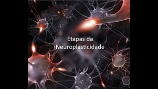 Etapas da Neuroplasticidade [upl. by Ecyal164]