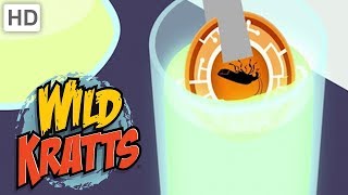 Wild Kratts 🌟 These Creatures Glow  Kids Videos [upl. by Thebazile]