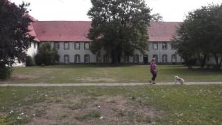 Kloster Wöltingerode  Harz [upl. by Nelyak]