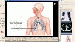 Download  Larousse médical encyclopédie Multimedia 100 413 MB [upl. by Malvina502]