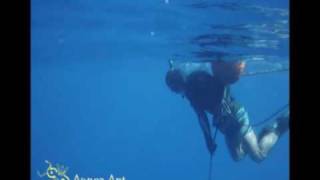 spearfishing new extreme NSYG [upl. by Filberto]