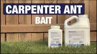 Advance Carpenter Ant Bait [upl. by Dacy]