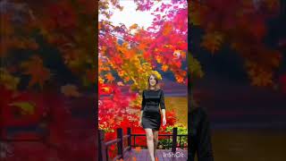 Basia Czołpińska  Kasztanycover dlaciebie youtubeshorts cover music subscribe song music [upl. by Novets]