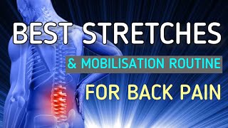 The Best Low Back Stretches  Lower Back Pain Relief Routine [upl. by Chita]