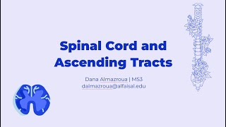 Spinal Cord amp Ascending Tracts  Dana Almazroua  NEU 241 PAL review session [upl. by Ver962]