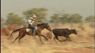 Ringers of the Kimberley [upl. by Saloma509]