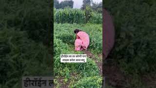 shetkri comedy agri shortvideo explore lovesong sonamthakur song trendingshort [upl. by Niknar84]