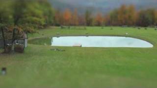 Birth of a Pond Time Lapse [upl. by Monahan]