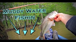 Kayak Fishing Stumpy Lake Virginia [upl. by Avin]