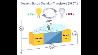 3 P3HT  PVDFHFP organic synaptic neuromorphic transistor preparation [upl. by Davidson]