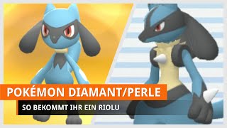 Pokémon Strahlender Diamant amp Leuchtende Perle Riolu bekommen [upl. by Rayna531]