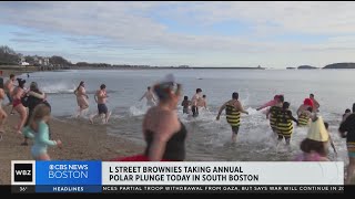 South Boston polar plunge brings cold weather swimmers together [upl. by Silvano]