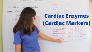 Cardiac Enzymes Cardiac Markers [upl. by Ilsa]