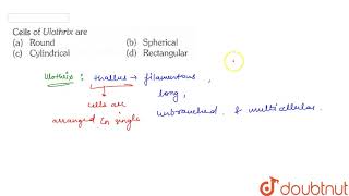 Cells of Ulothrix are [upl. by Ahsiral]