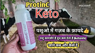 ProtinC Keto लिक्विड For Ketosis  पशुओं में कमजोरी  दूध बढ़ाये  पशुओं में गज़ब के फ़ायदे p [upl. by Anibas]