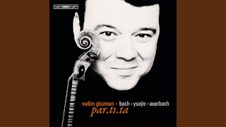 Violin Partita No 2 in D Minor BWV 1004 I Allemande [upl. by Birchard869]