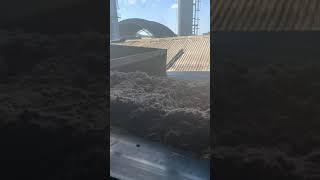 Bagasse Production [upl. by Anileuqcaj]