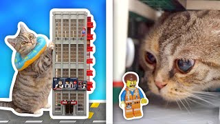 Giant Cat Destroys LEGO City [upl. by Denyse]