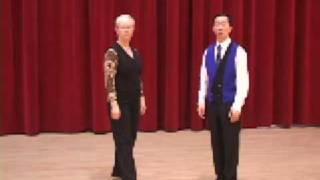 Silver Viennese Waltz  Rise and Fall Ballroom Dance Lesson [upl. by Tolkan]