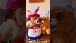 Hilarious Pups Crash Cake Time shorts youtubeshorts videoshorts [upl. by Atterahs]